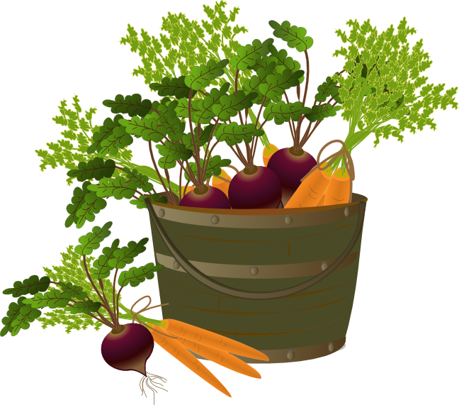 Nothing - Houseplant (648x571)