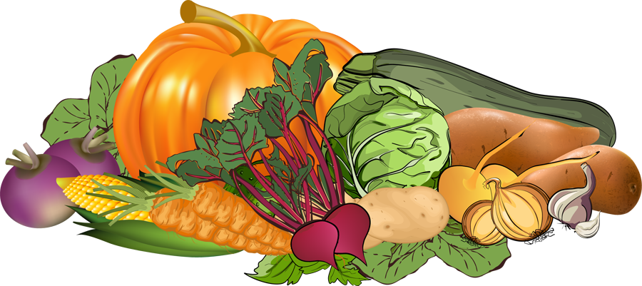 Vegetables Clip Art - Clip Art Of Vegetable (900x401)