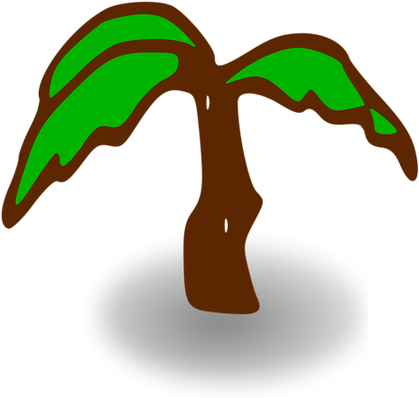 Palm Tree Clip Art Download - Palm Tree Clip Art (958x958)