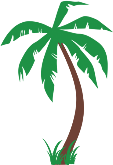 Palm Trees With Grass Wall Decal - Palm Tree With Grass (800x550)