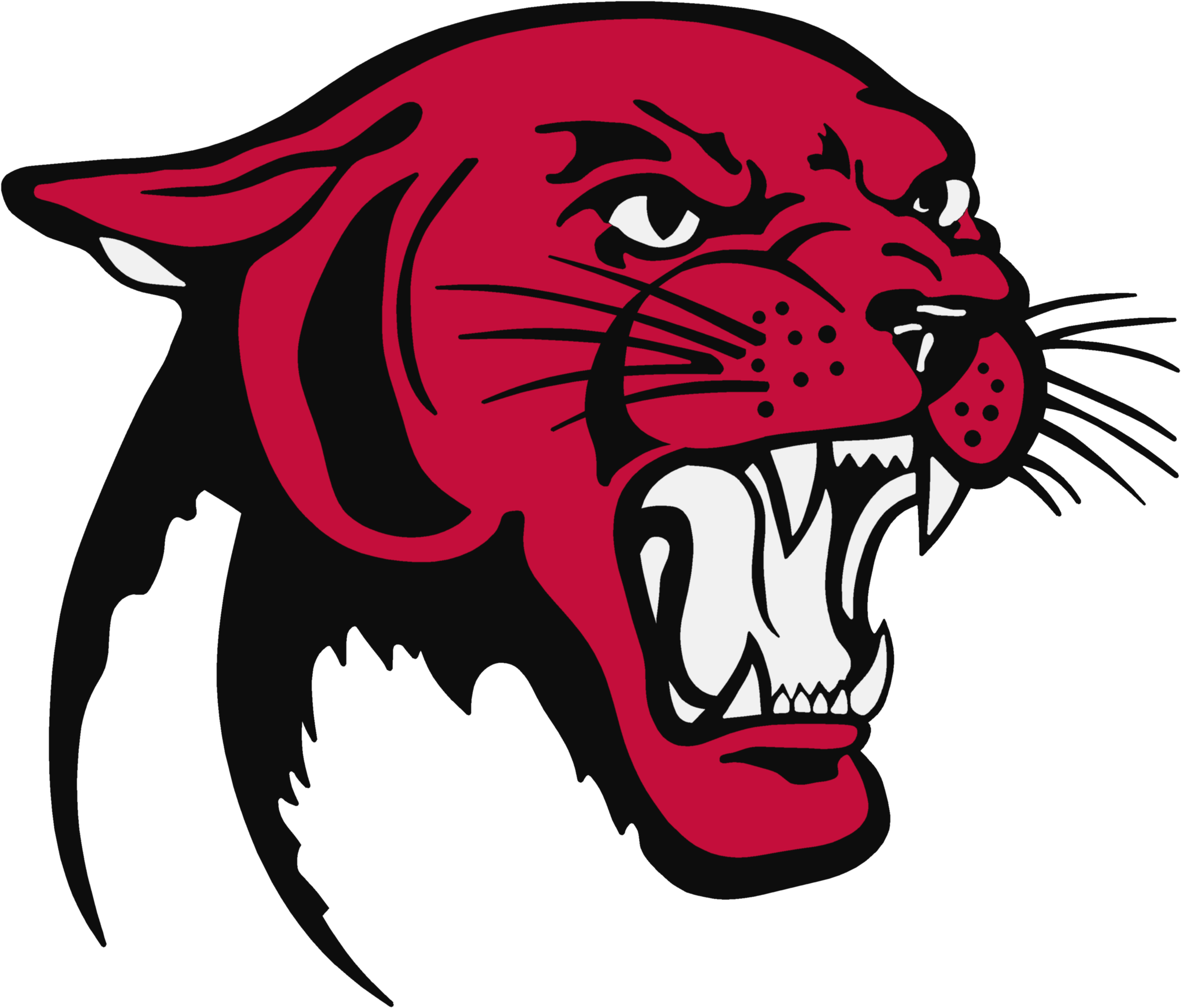 Cheap Panther With Motorcycle Clipart Png - Kickapoo Panthers (3490x3005)