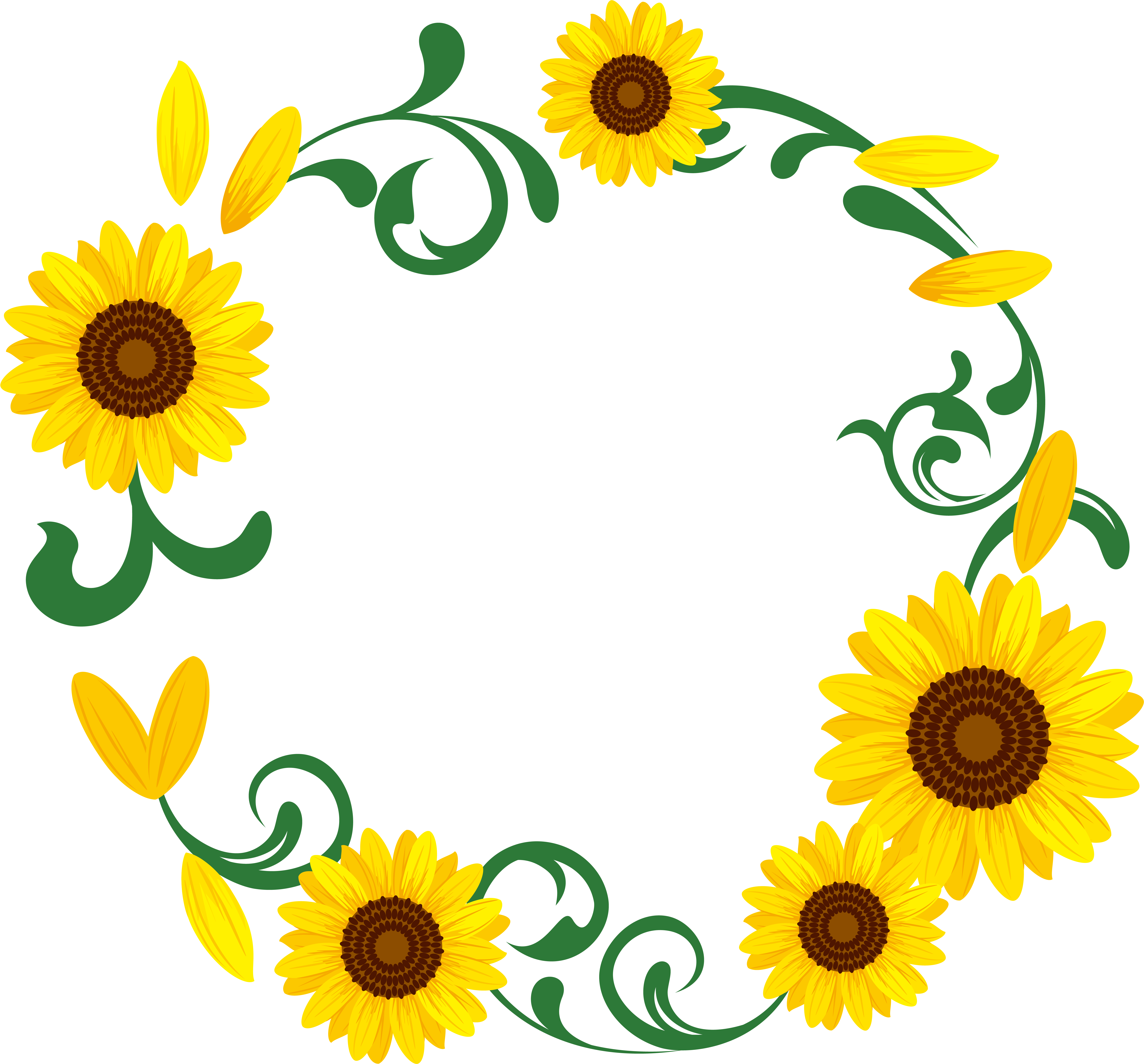 Common Sunflower Download Illustration - Common Sunflower Download Illustration (7580x7115)