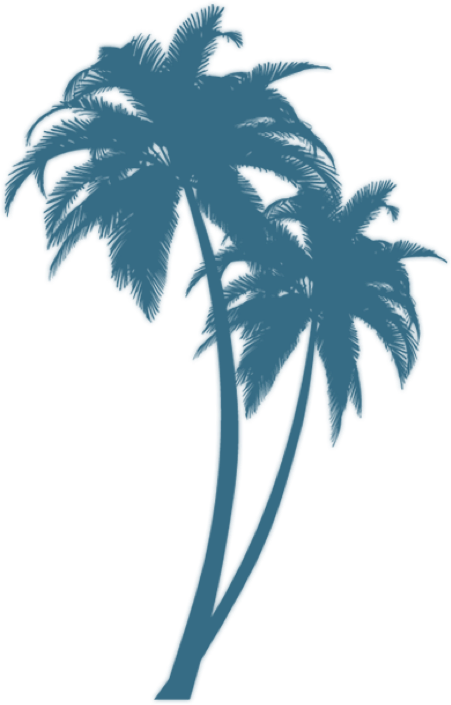 Turquoise Palm - Black Palm Tree Png (451x705)