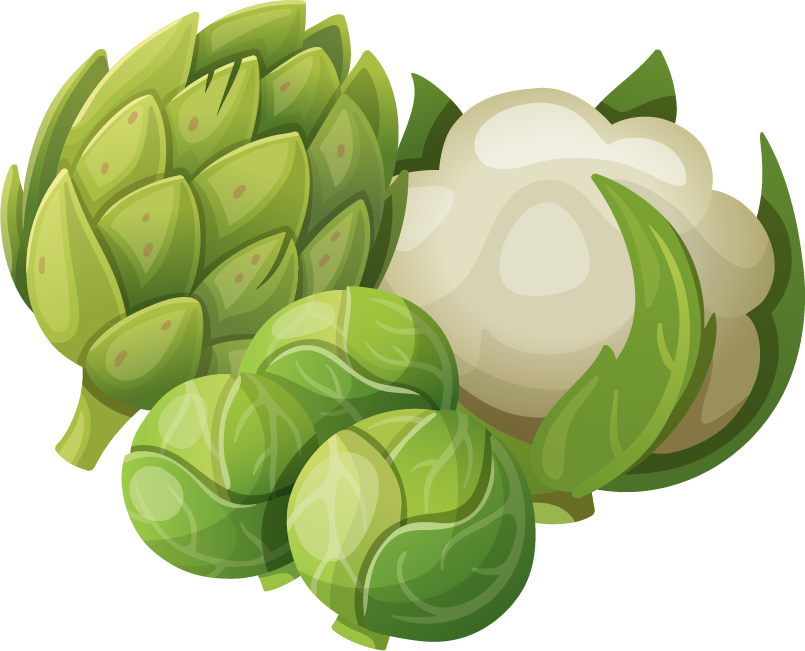 Turnips Cauliflower Png Vector Material - Sugar, Spice, And Everything Nice Coloring Book [book] (805x651)