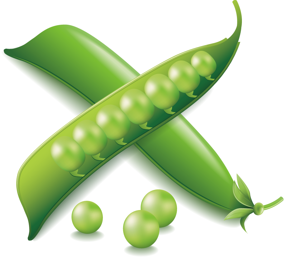 Vegetable Euclidean Vector Icon - Vegetable (911x823)