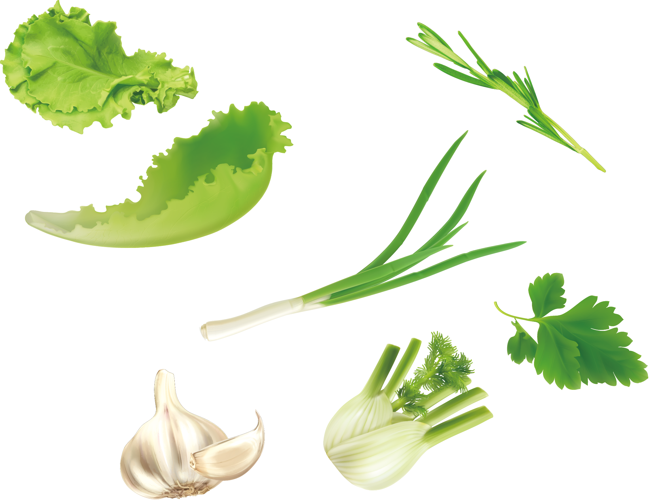 Leaf Vegetable Salad - Leaf Vegetable (2258x1740)
