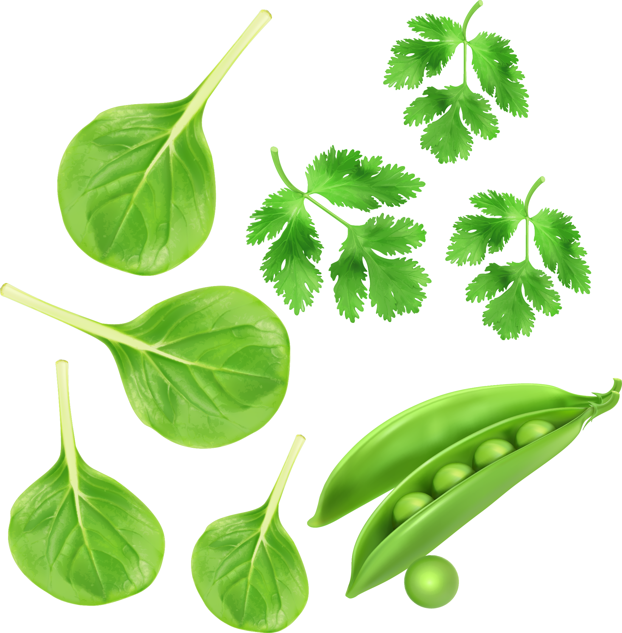Green Vegetables, Parsley Peas Vector Vegetables - Vegetable (2087x2127)