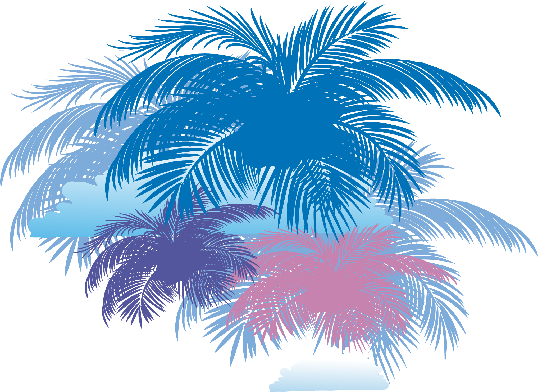 Arecaceae Coconut Tree - Coconut Background (2244x2244)