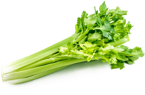 Celery Png Picture - Celery Png (750x335)