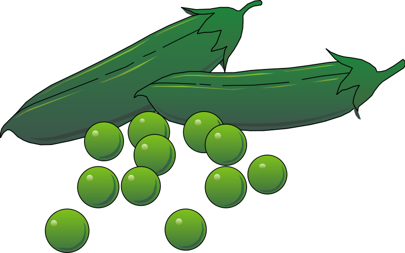 Free Vector Vegetables - Give Peas A Chance Bib (800x499)