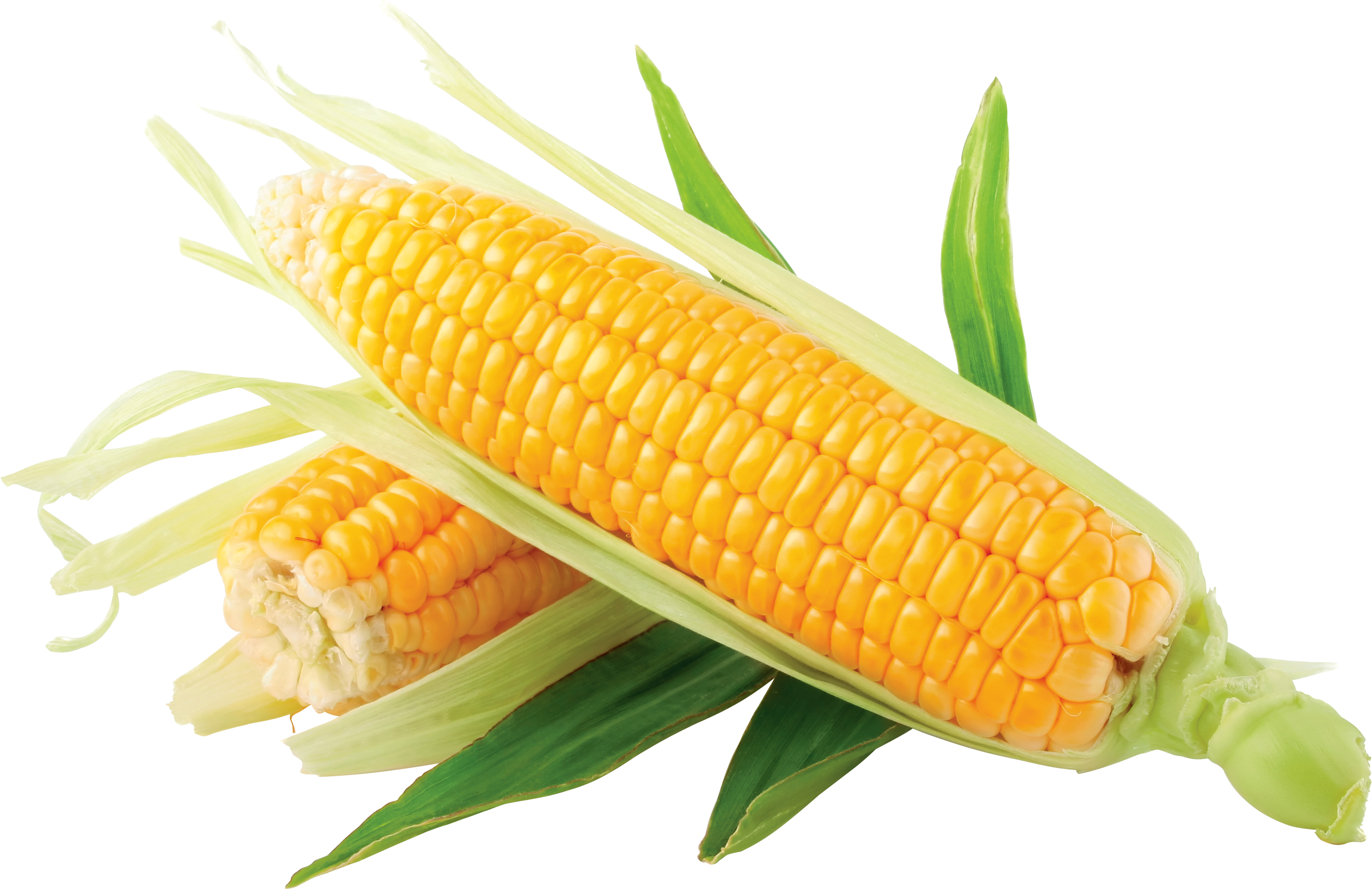 Vegetable Clipart Yellow Corn - Corn Png (3506x2274)