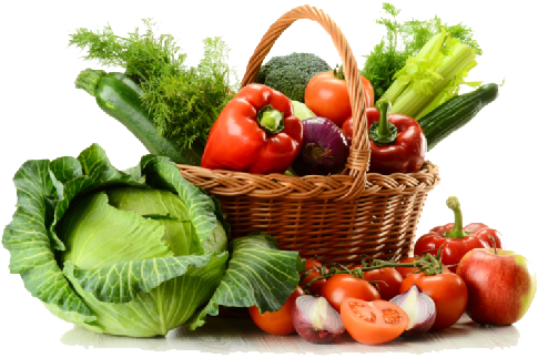 Vegetables Png Icons - Cosa Mangiano Le Lumache (555x370)