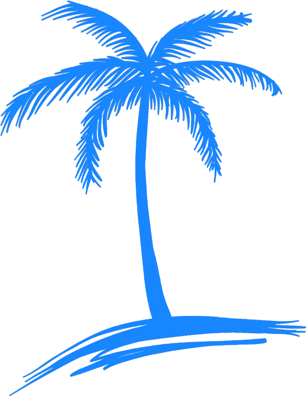 12 Mgctlbxl$c Mgctlbxp$prestashop - Coconut Tree Beach Drawing (800x800)