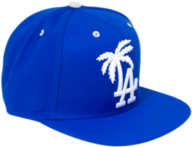 Blvd Supply - Dodgers Palm Tree Hat (454x454)