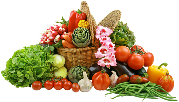 Vegetables Png Pictures - Fruits And Vegetables Basket Png (600x359)