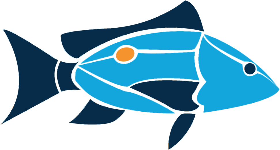 Eiland Clipart Transparent Background - Island School Cape Eleuthera (1000x771)