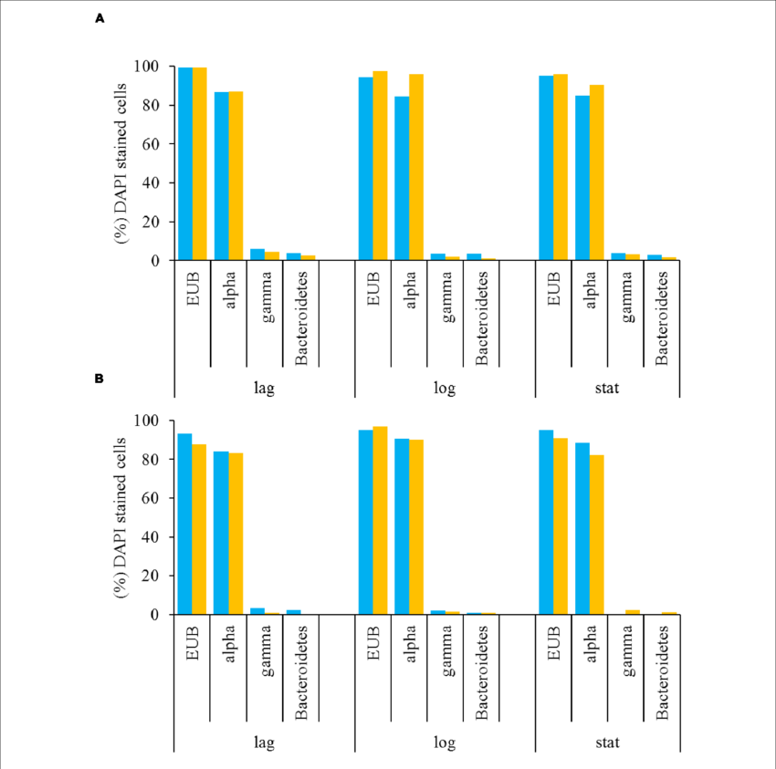 Free-living And Attached (b) Bacteria Associated With - Culture (850x843)