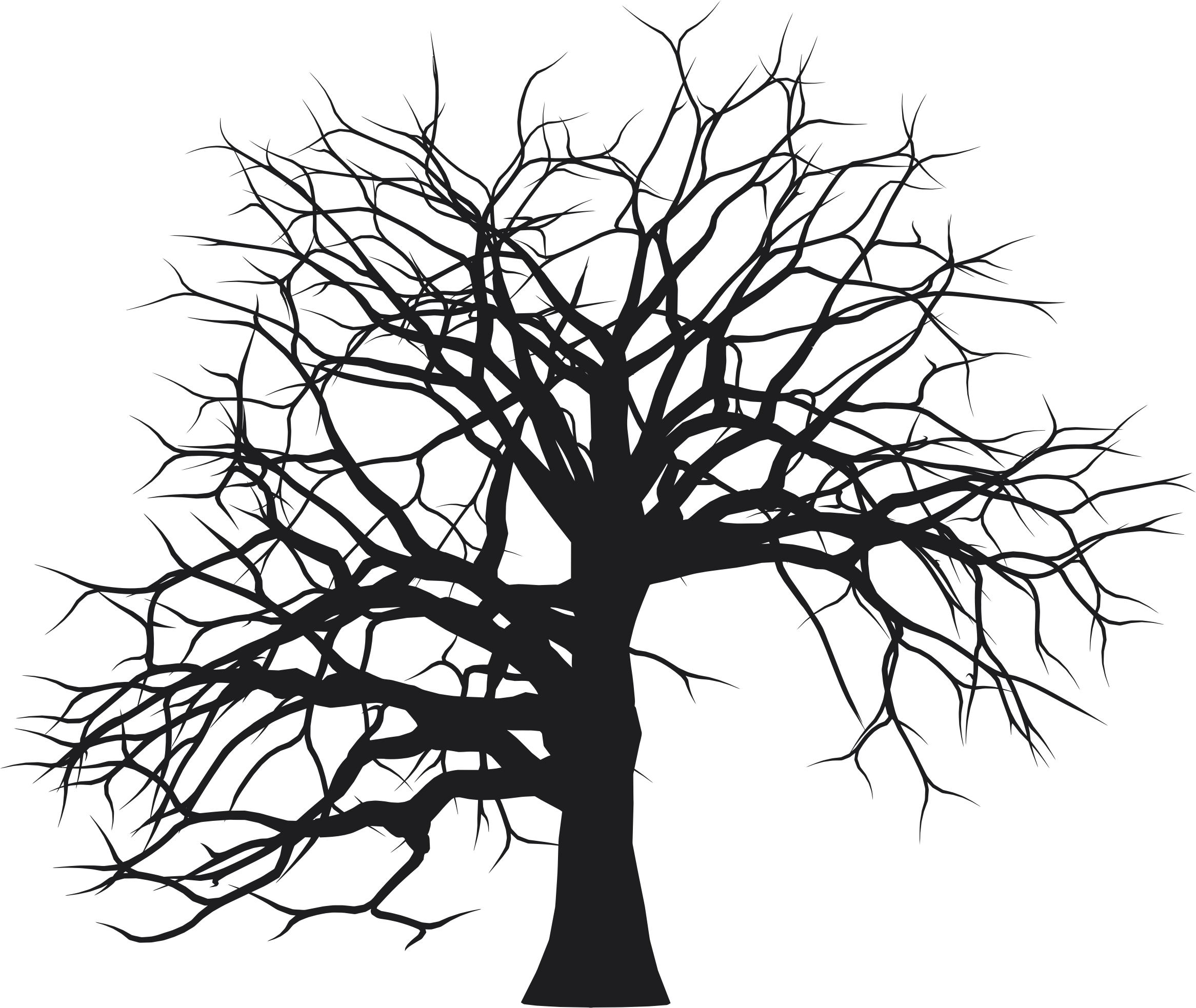 Clipart - Leafless Tree Silhouette (2332x1966)