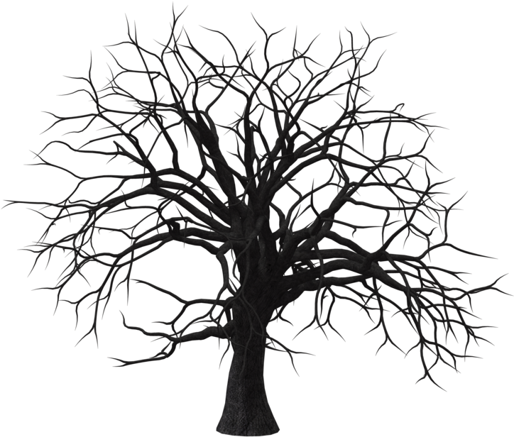Tree 07 By Free Stock By Wayne On Deviantart - Black Dry Tree Png (1024x645)