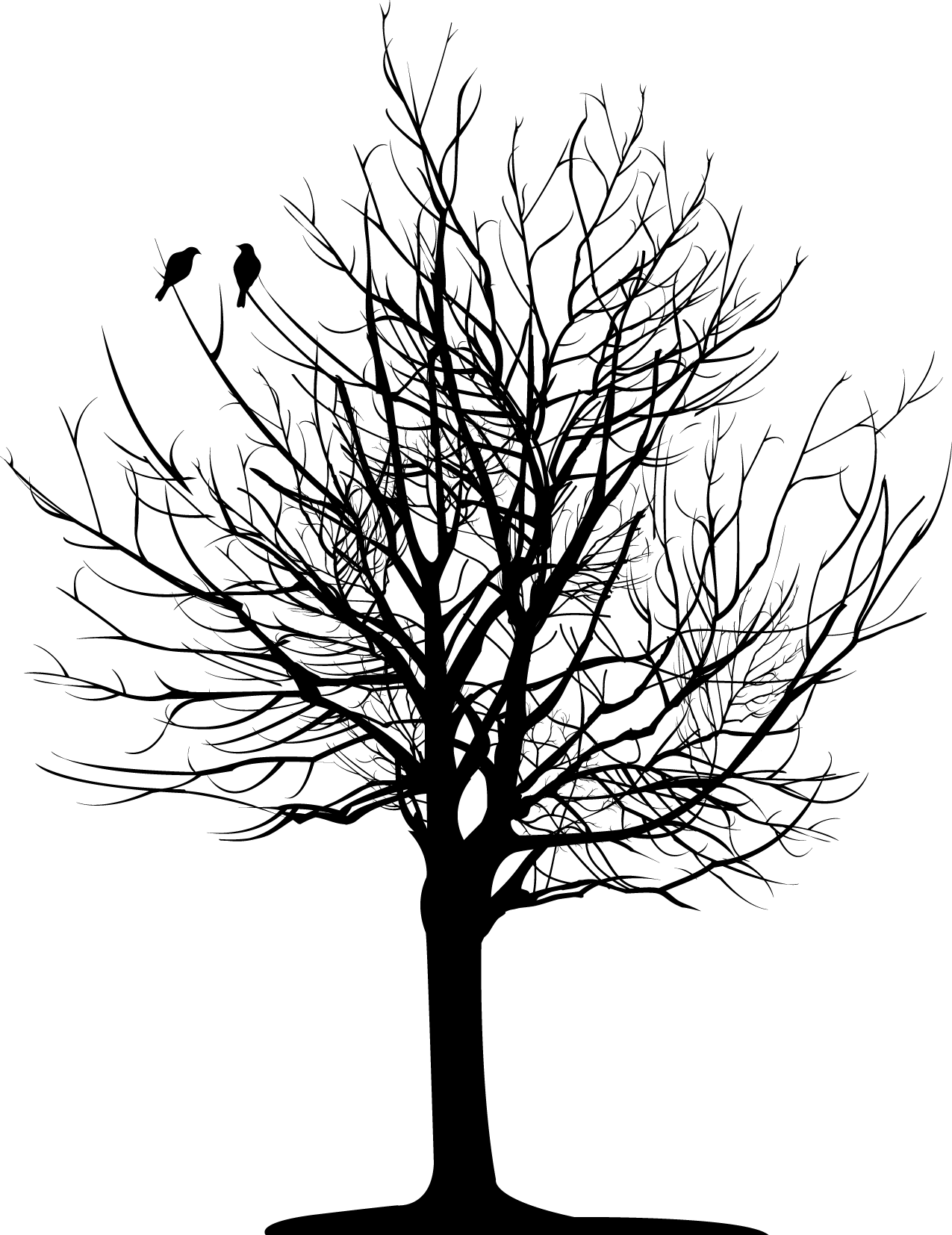 Christopher Allan Poe - Tree With Roots Ankle Tattoos (1275x1654)