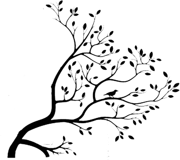 Vintage Resurrections Bird In A Tree Drawers Graphics - Digiflare Graphics Free Shipping! Large Big Tree Wall (705x571)