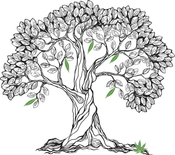 Related Categories - Processions By Gibran Gibran (604x535)