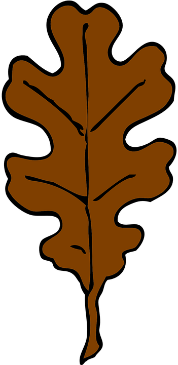 Brown Leaf Clip Art At Mzayat - Oak Leaf Clip Art (360x720)