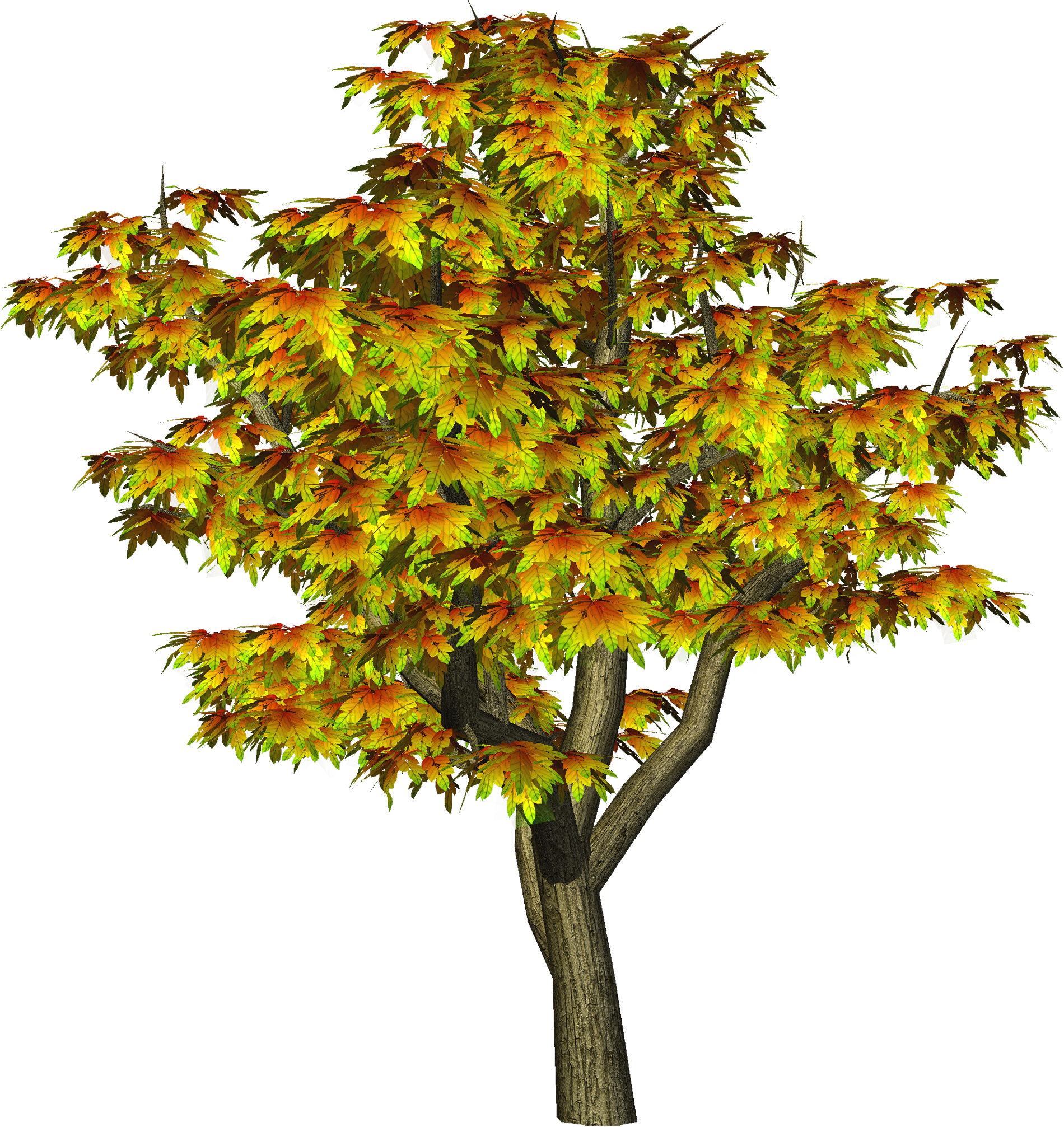 28 Collection Of Maple Tree Clipart Png - All Cb Editing Png (1900x2013)