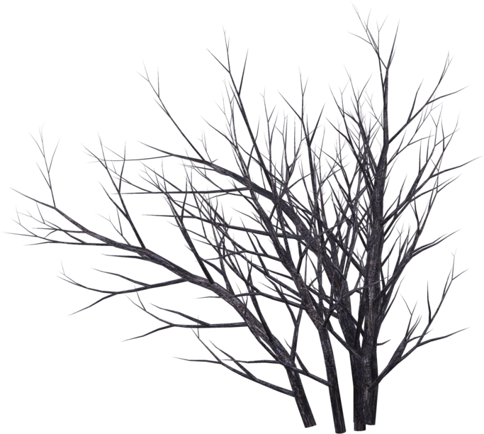 Winter Bush 06 By Wolverine041269 On Deviantart - Bush Drawing Png (1024x639)