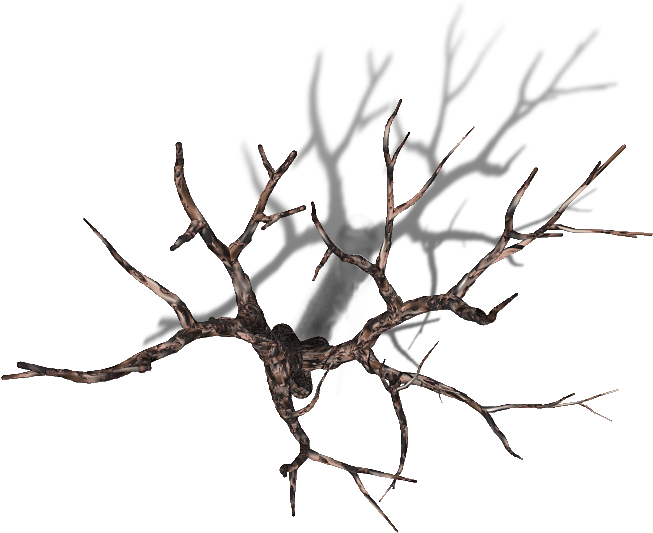 06 Feb 2009 - Dead Tree Top Down (670x532)