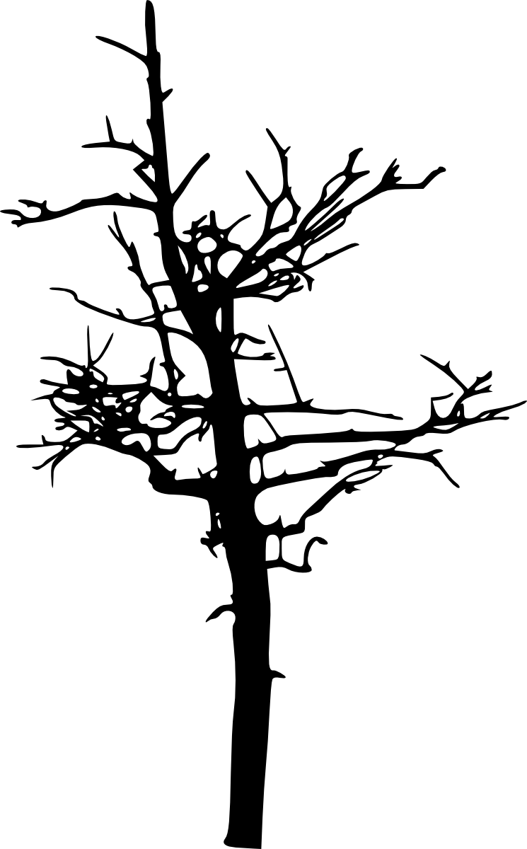 Free Download - Portable Network Graphics (745x1200)