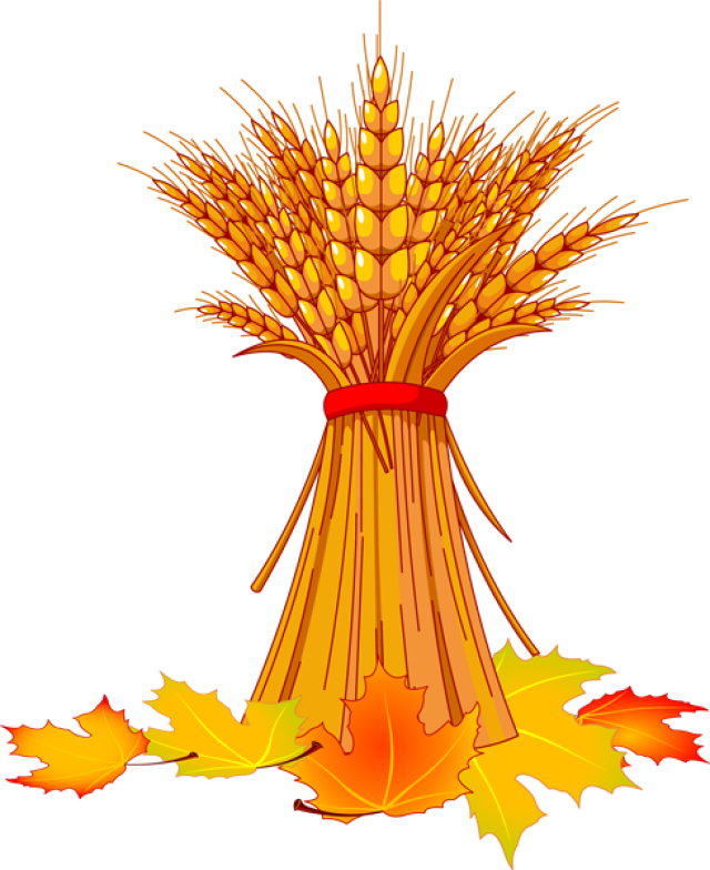 Leaves Clipart Basket - Wheat Clip Art (640x784)