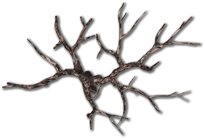 191k Tree Bare Large2 06 Feb 2009 - Dundjinni Dead Tree (675x458)