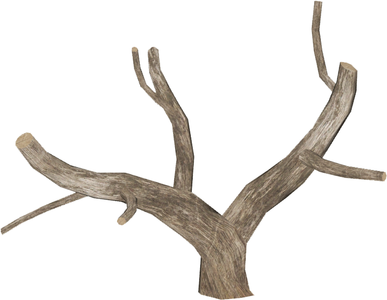 Dead Tree Log 4 - Dead Tree Log 4 (788x788)