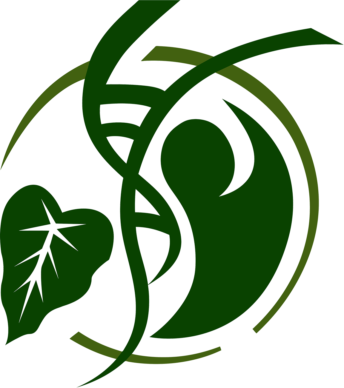 Apitmid Logo - Transparent Background - Hawaii Health Symbol (1152x1300)