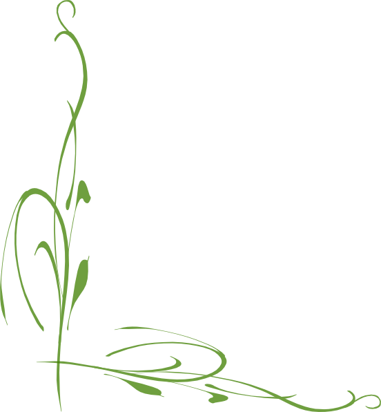 Decoration Clipart Leafy Vine - Green Vine Border (552x596)