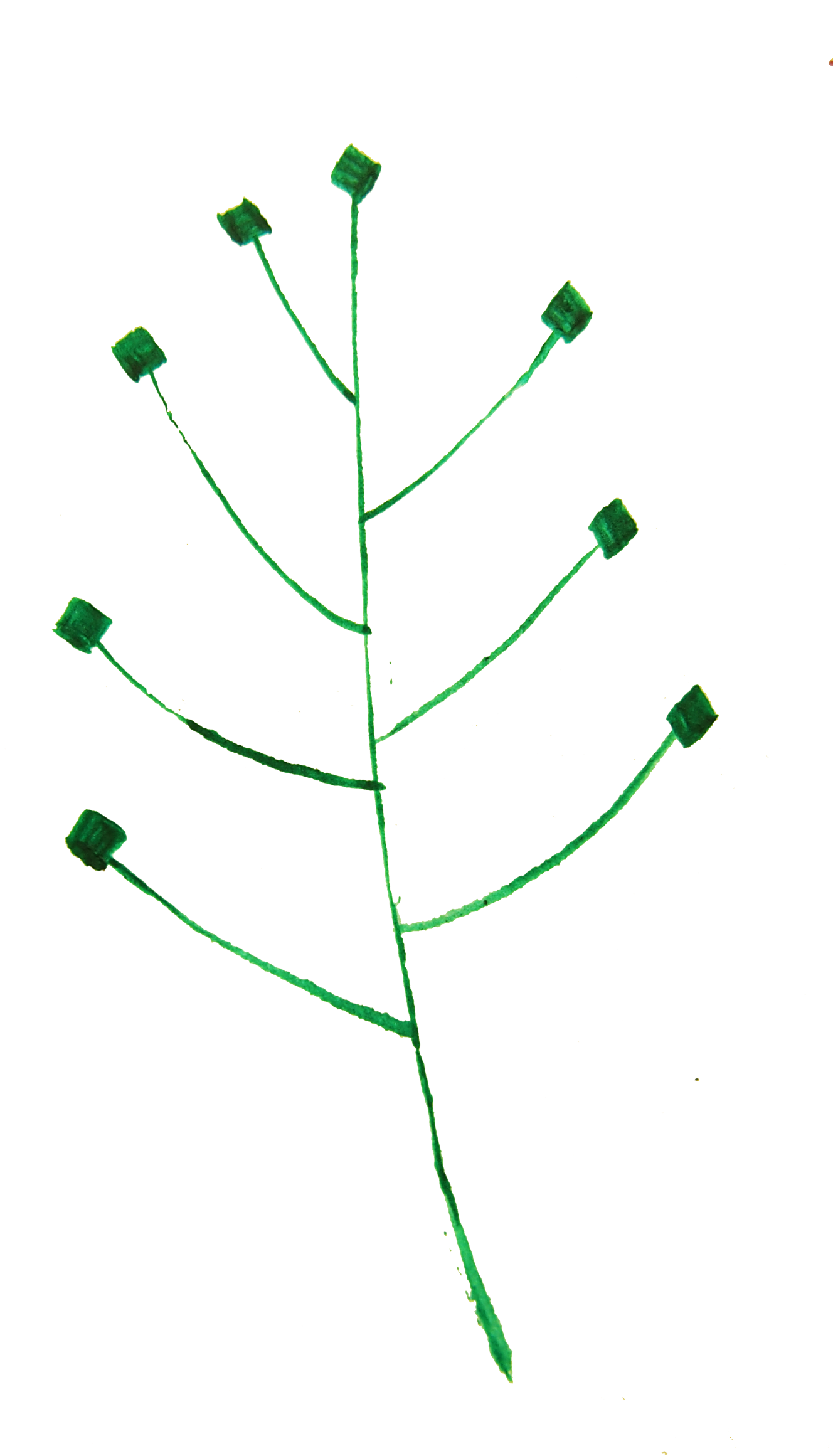 This Free Icons Png Design Of Calligraphic Illustration- - Illustration (2400x2400)