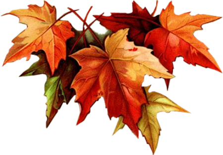 Autumn Leaves Drawing Tumblr - 21 Days Of Fasting & Prayer: Words (450x314)