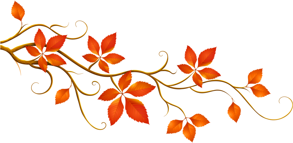 City Offers Leaf Removal Options - Fall Leaves Banner Clip Art (1000x525)