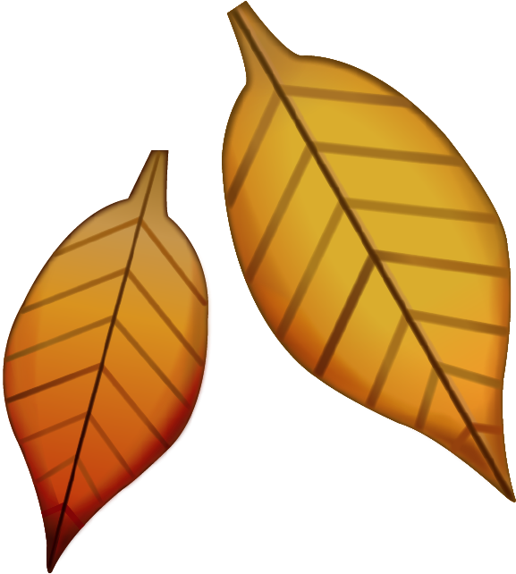 Emoji Clipart Leaf - Leaves Emoji Png (646x677)