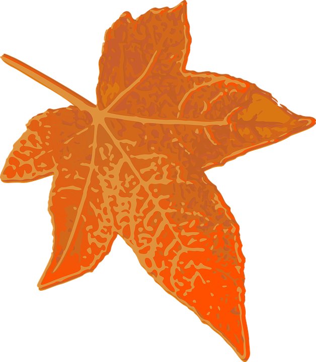 Fall Leaves Graphic 17, Buy Clip Art - Brown Leaves Transparent Clip Art (628x720)