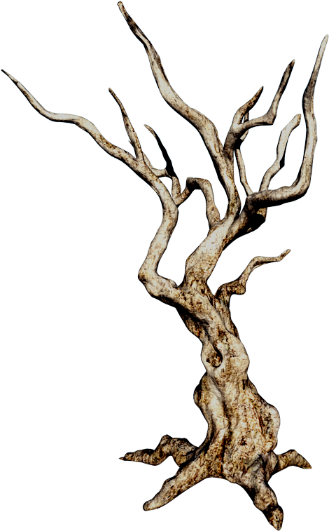 Stock 35 'old Tree I' By Blackmoons32 - Tree (533x800)