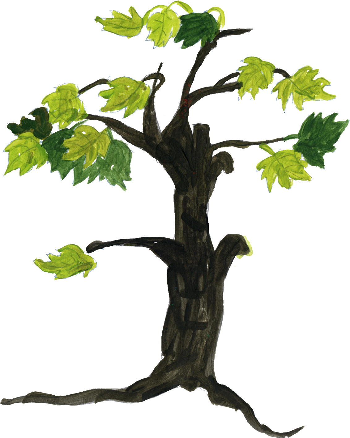 Free Download - Tree Drawing Png (1159x1484)