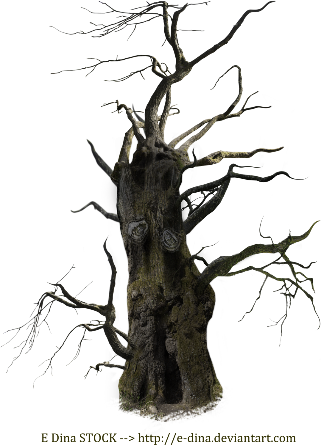 Creepy Clipart Creepy Tree - Molly Pepper And The Night Train By Courtney King Walker (1280x1600)