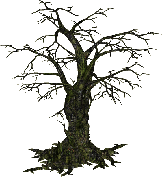 Creepy Tree - Creepy Tree Png (611x611)