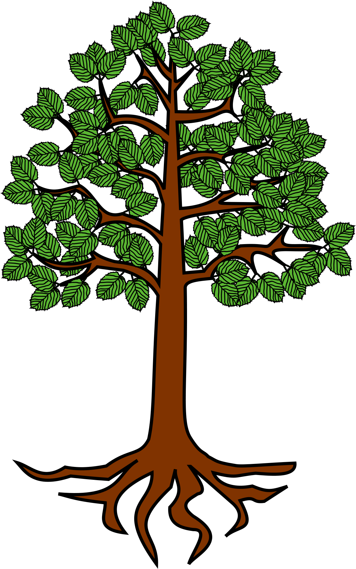 Cartoon Tree Picture 27, - Tree With Roots Clipart (2000x2200)