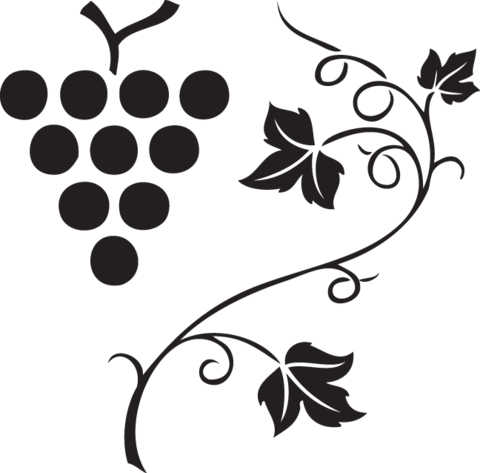 562 Grapes & Vine - City Of Vineland (480x473)