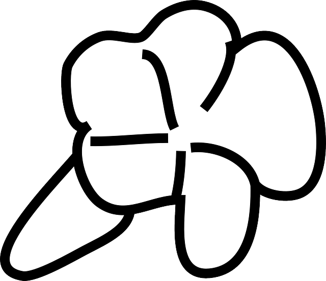Plant Outline, Flower, White, Plant - Clip Art (640x552)