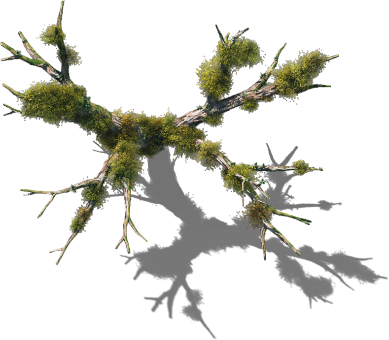 06 Feb 2009 - Swamp Tree Png (789x691)