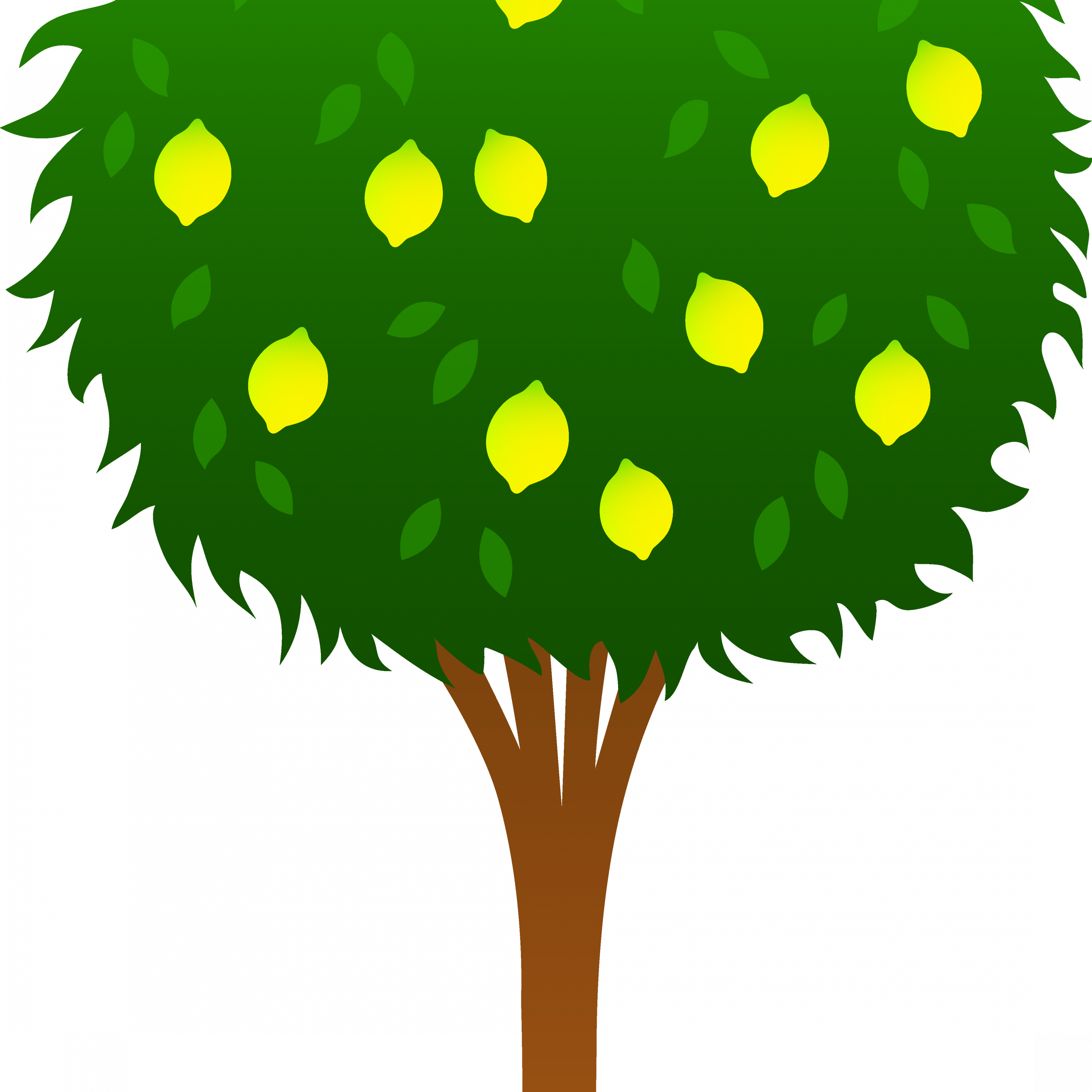 Cute Lemon Tree Free Clip Art - Lemon Tree Clipart (3000x3000)